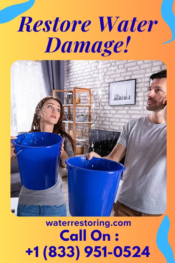 water restoration Lightning Extraction Services Russells Point