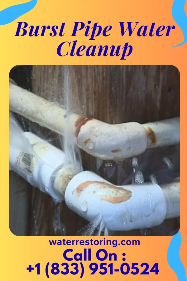 Burst Pipe Water Cleanup in Russells Point, OH