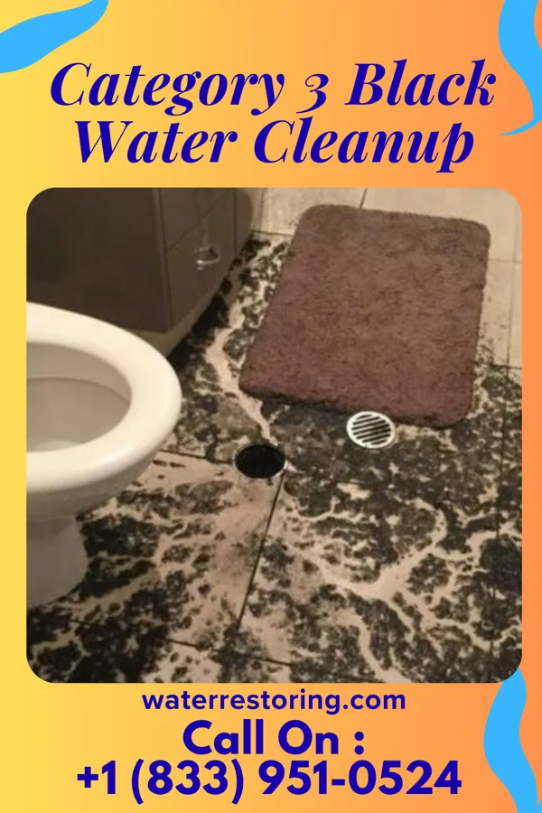 Category 3 Black Water Cleanup in Russells Point, OH