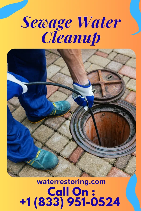 Sewage Water Cleanup in Russells Point, OH