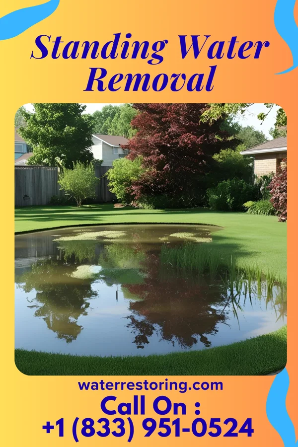 Standing Water Removal in Russells Point, OH